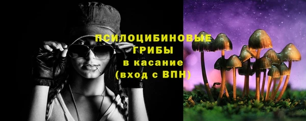 первитин Ладушкин