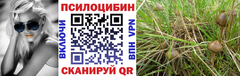 Галлюциногенные грибы MAGIC MUSHROOMS  kraken зеркало  Называевск  что такое  
